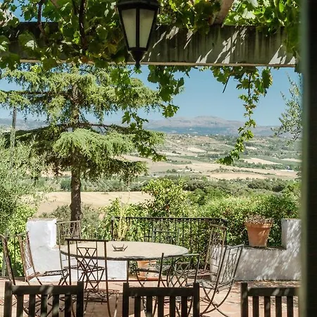 The White Olive Villa