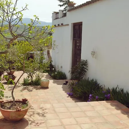 The White Olive Ronda