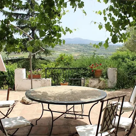 The White Olive Villa *