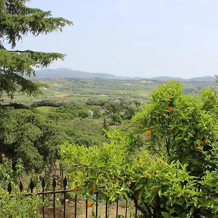 Villa The White Olive Ronda
