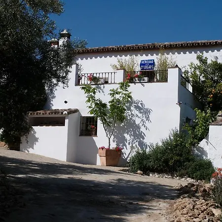 The White Olive Ronda