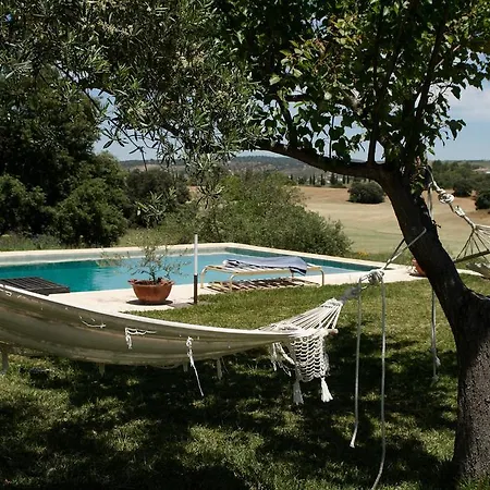 The White Olive *
