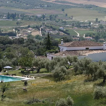 The White Olive * Ronda