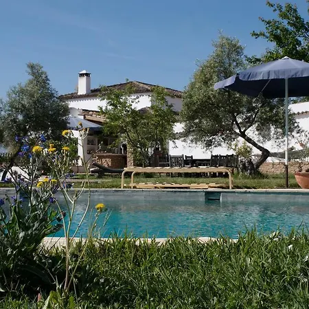 Villa The White Olive *